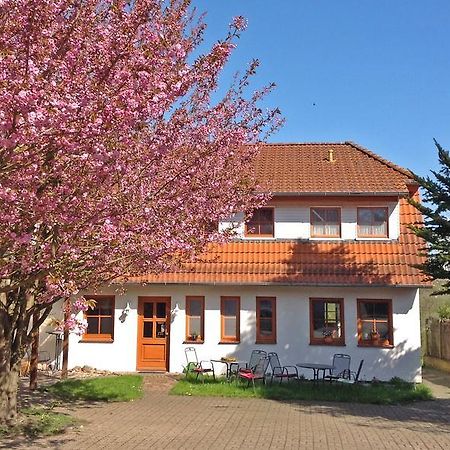 Landpension Zum Kleinen Urlaub Wredenhagen Pokoj fotografie