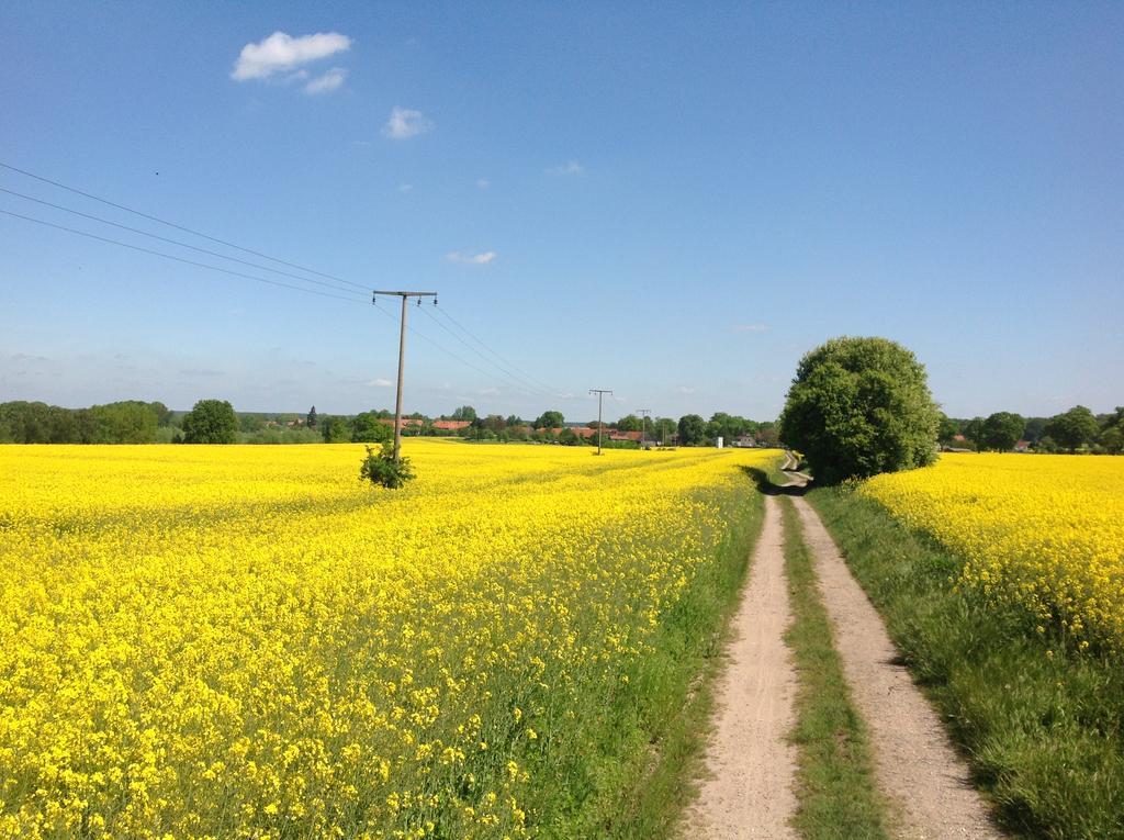 Landpension Zum Kleinen Urlaub Wredenhagen Exteriér fotografie